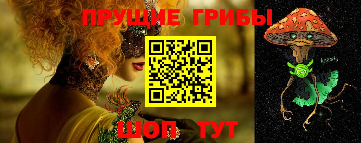 Кашира  Галлюциногенные грибы Psilocybine cubensis  Вход с VPN 